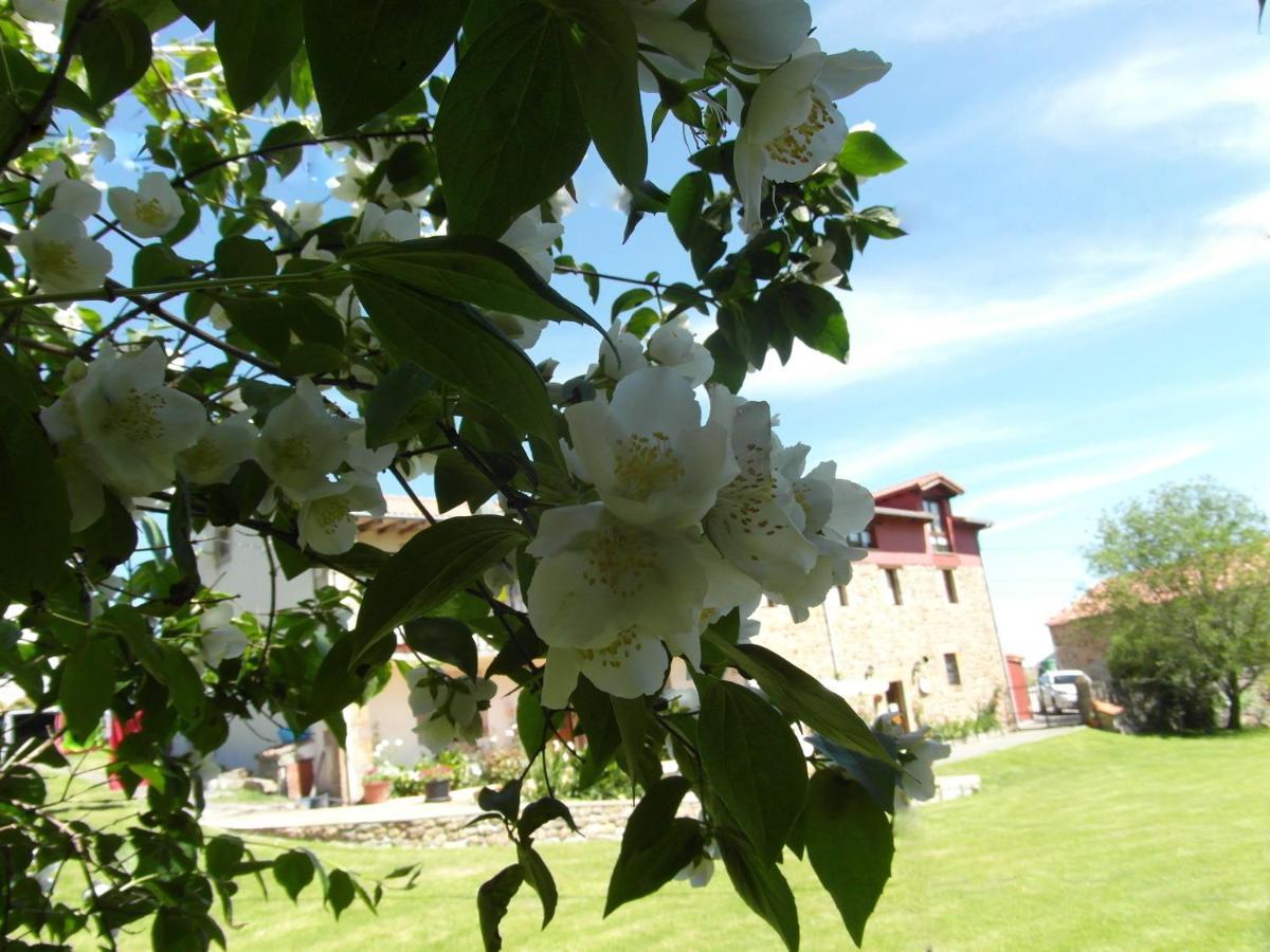 Albergue La Torre Santiurde de Reinosa 외부 사진